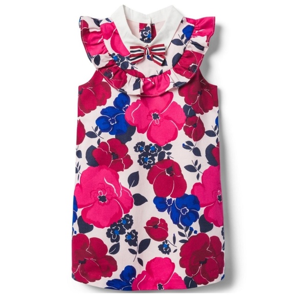 Janie and Jack Other - Janie and Jack Baby Girls Raspberry Floral Dress